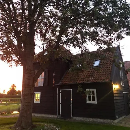 Hollands Glorie *