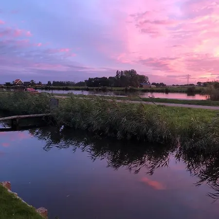 Hollands Glorie *